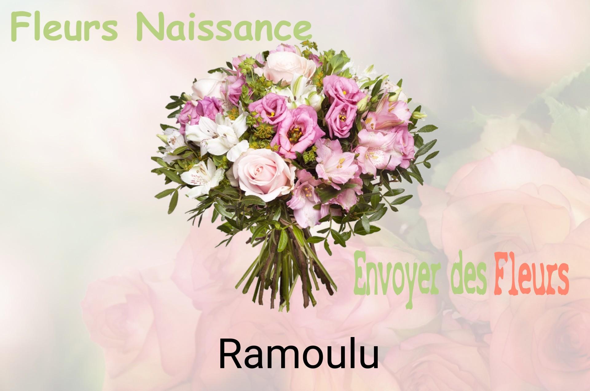 Bouquet de fleurs de naissance livré à Ramoulu