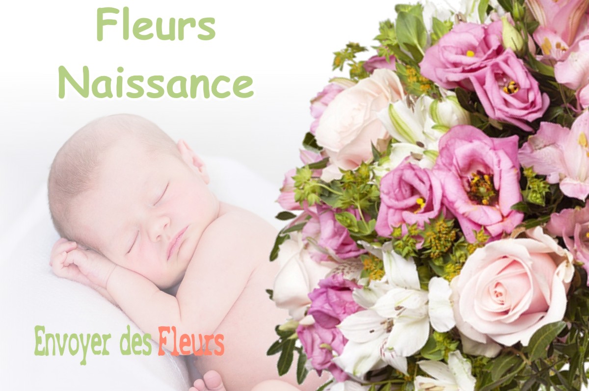 lIVRAISON FLEURS NAISSANCE à RAMOULU