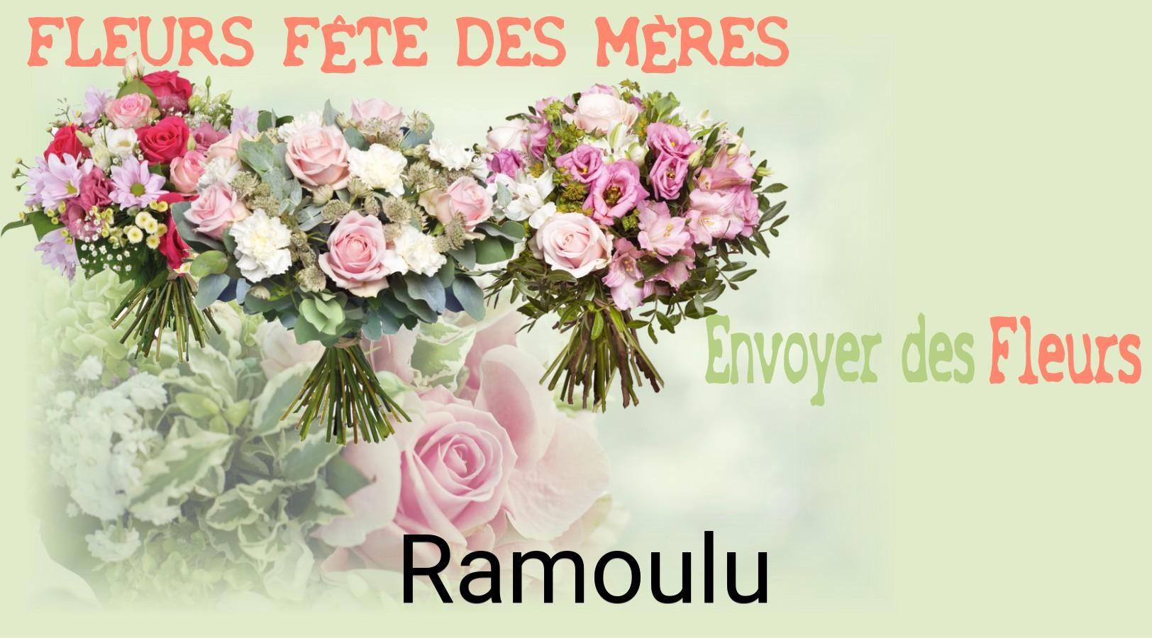Bouquet de Fête des Mères livré à Ramoulu